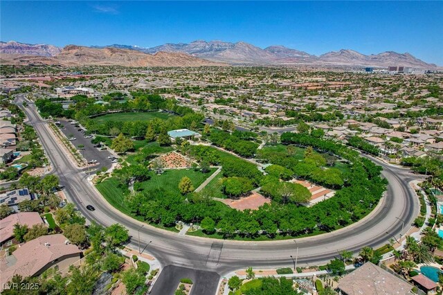 10249 Wisteria Hills Ct, Las Vegas, NV 89135 - photo 87