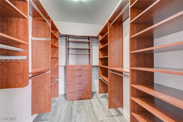 5931 Allanche Ave, Las Vegas, NV 89141 - spacious closet with light wood-style flooring