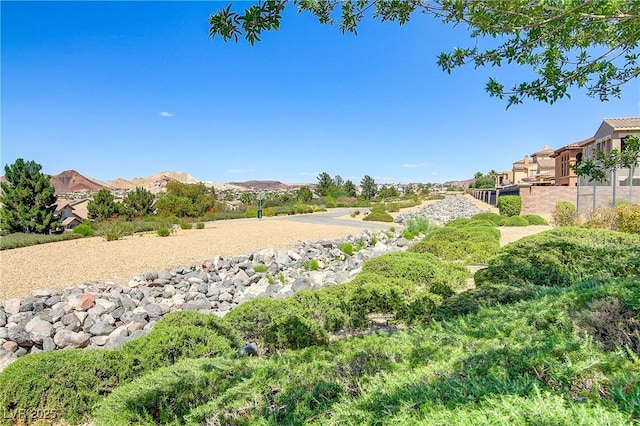 1272 Olivia Pkwy, Henderson, NV 89011 - photo 49