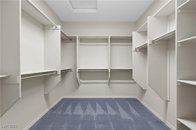 1407 Wheelwright Ct, Mesquite, NV 89034 - walk in closet with dark carpet and attic access