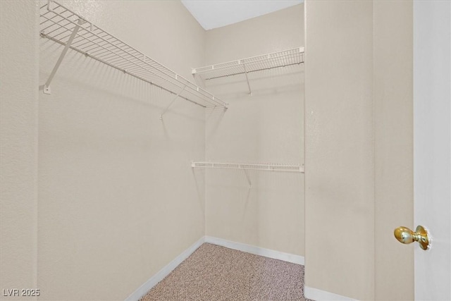 927 Clear Diamond Ave, Las Vegas, NV 89123 - walk in closet with carpet floors