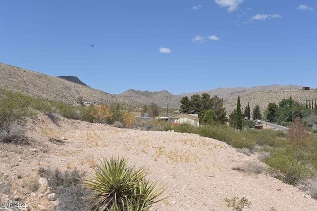275 Vegas Dr, Goodsprings, NV 89019 - photo 35