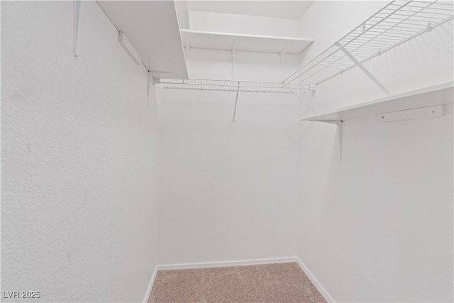 9105 Marble Dr, Las Vegas, NV 89134 - walk in closet featuring carpet flooring