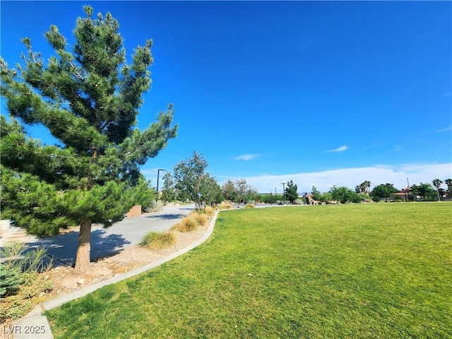 6729 Flamenco Ct, Las Vegas, NV 89139 - view of home's community with a yard
