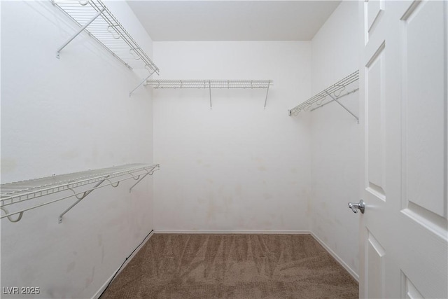 2708 Cheer Pheasant Ave, North Las Vegas, NV 89084 - walk in closet with carpet
