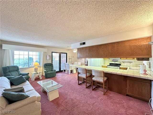 4151 Sanderling Cir Unit 351, Las Vegas, NV 89103 - living room with carpet floors and a textured ceiling