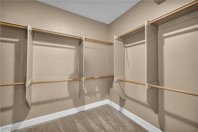 7029 Bocaire Dr, Las Vegas, NV 89131 - walk in closet with carpet