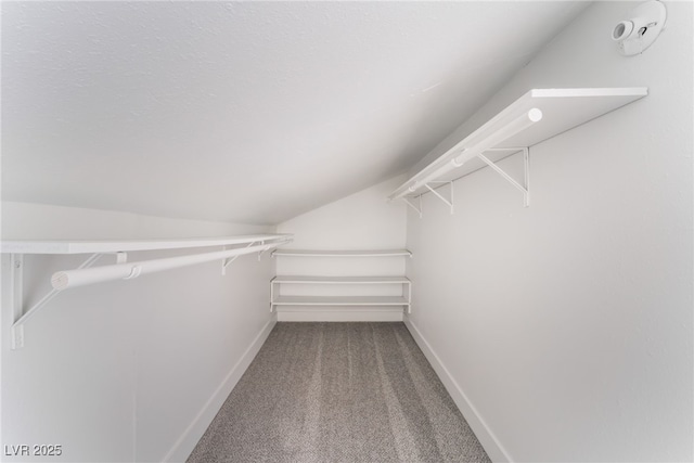 3409 El Cortez Ave, Las Vegas, NV 89102 - walk in closet with lofted ceiling and carpet flooring
