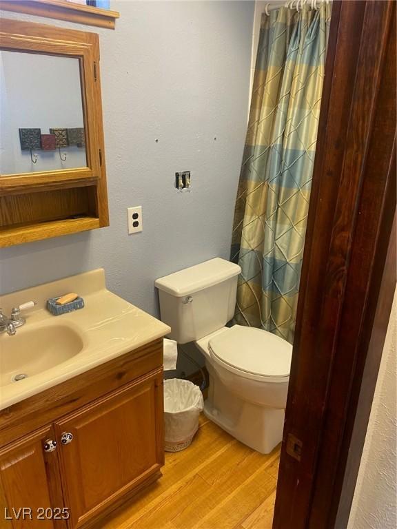 631 Mccannon St, Pioche, NV 89043 - bathroom with wood finished floors, vanity, toilet, and a shower with shower curtain