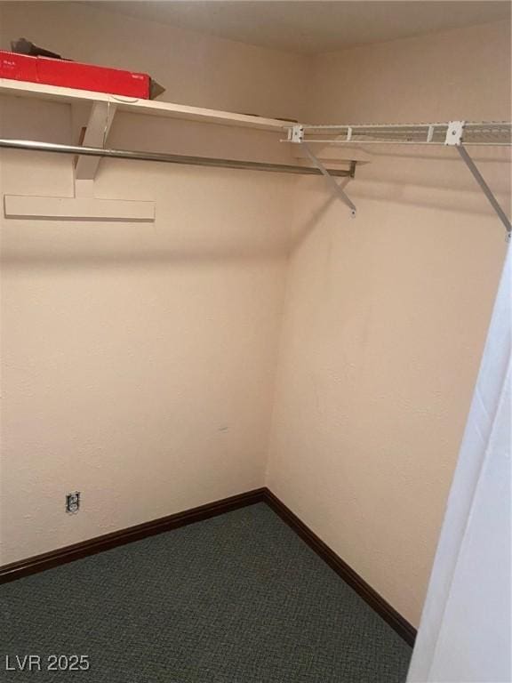 631 Mccannon St, Pioche, NV 89043 - spacious closet with carpet flooring
