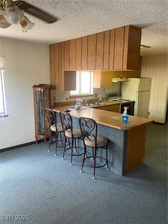 631 Mccannon St, Pioche, NV 89043 - kitchen with electric stove, under cabinet range hood, a sink, carpet flooring, and a textured ceiling