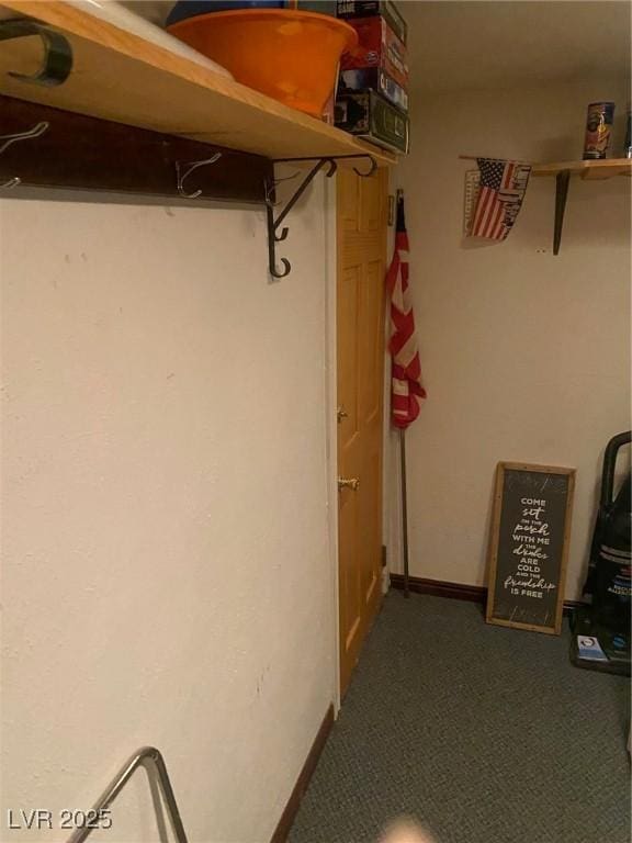 631 Mccannon St, Pioche, NV 89043 - spacious closet featuring carpet flooring