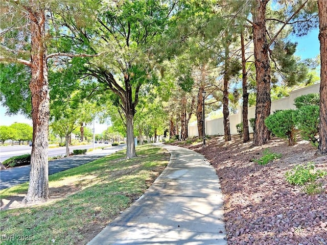 2119 Sunset Vista Ave, Henderson, NV 89052 - view of home's community