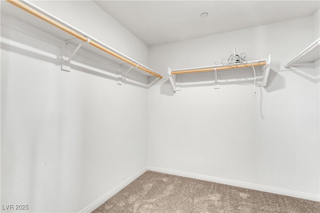 6952 Crescent Gold St, North Las Vegas, NV 89086 - spacious closet featuring carpet floors