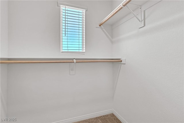 6952 Crescent Gold St, North Las Vegas, NV 89086 - spacious closet with carpet floors