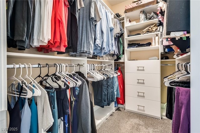 7694 Hampton Park Ln, Las Vegas, NV 89113 - spacious closet with carpet flooring