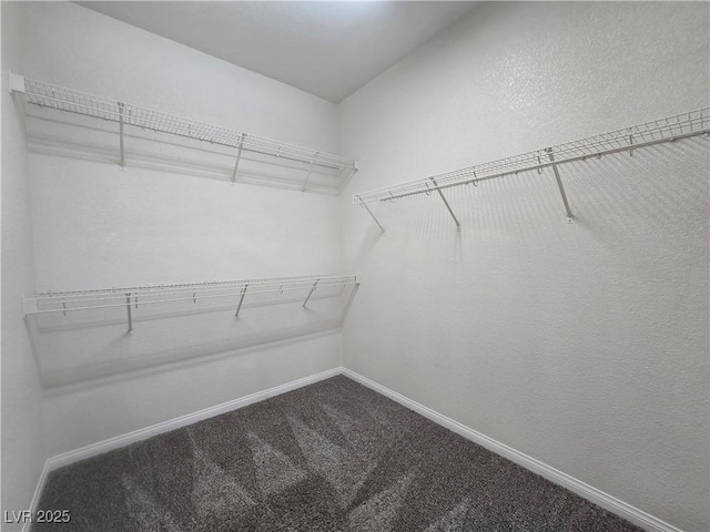 9312 Gold Dove Ct, Las Vegas, NV 89178 - spacious closet featuring carpet