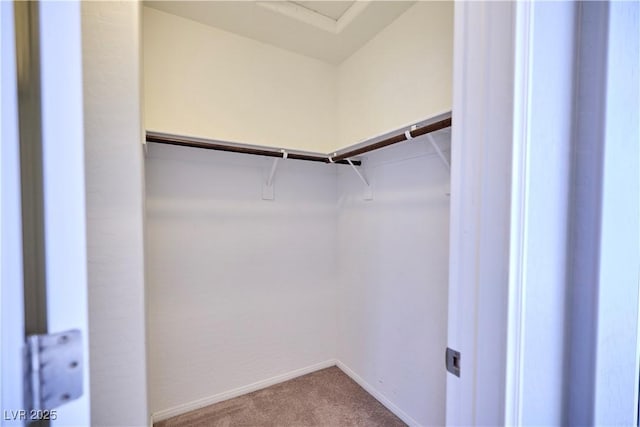 10449 Yew Blossom Ave, Las Vegas, NV 89166 - walk in closet featuring carpet flooring