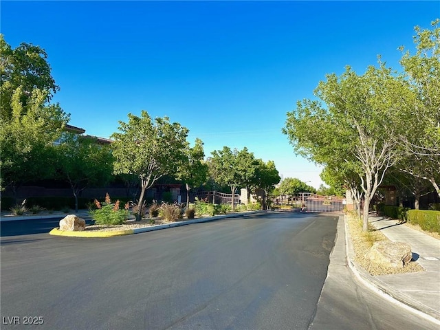 10719 Hammett Park Ave, Las Vegas, NV 89166 - photo 44