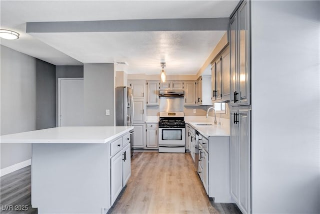 3971 Foxboro Cir, Las Vegas, NV 89121 - kitchen featuring appliances with stainless steel finishes, under cabinet range hood, a sink, and light countertops