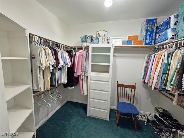 3451 Sagebrush Ave, Pahrump, NV 89048 - spacious closet featuring carpet floors