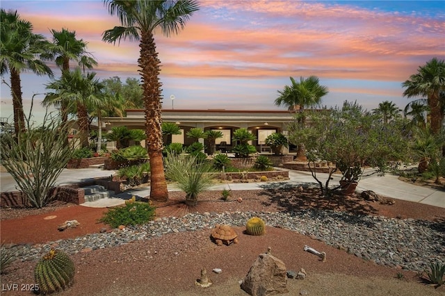 9111 W Stephen Ave, Las Vegas, NV 89149 - view of yard