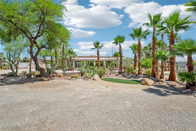 9111 W Stephen Ave, Las Vegas, NV 89149 - view of yard
