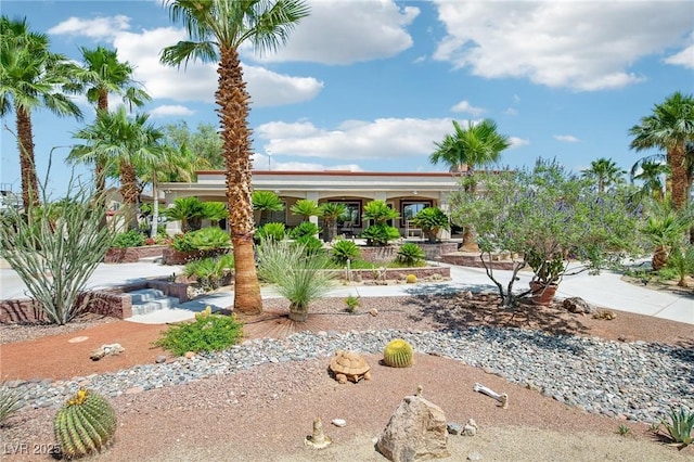 9111 W Stephen Ave, Las Vegas, NV 89149 - view of yard