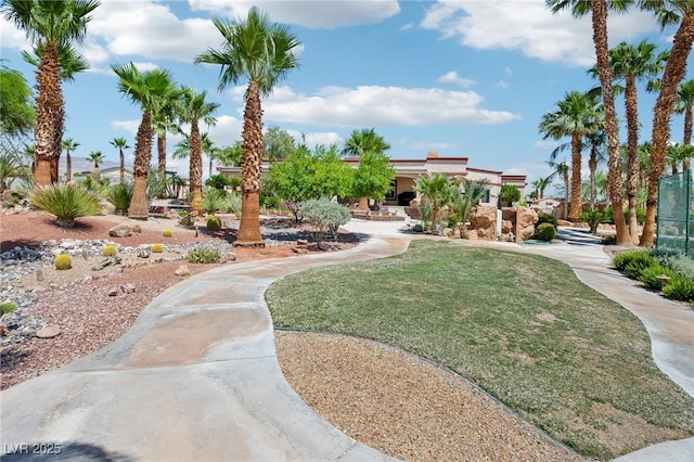 9111 W Stephen Ave, Las Vegas, NV 89149 - surrounding community with a yard