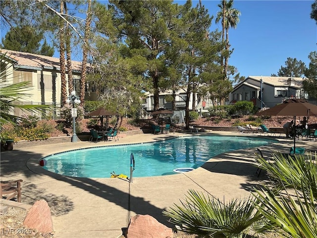 5222 Mandalay Springs Dr Unit 202, Las Vegas, NV 89120 - community pool with a patio