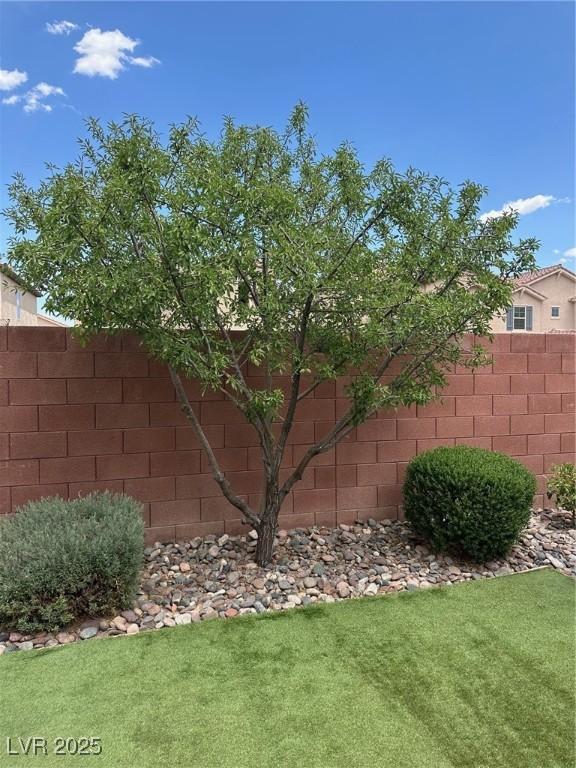 9853 Bangalore Ct, Las Vegas, NV 89148 - view of yard