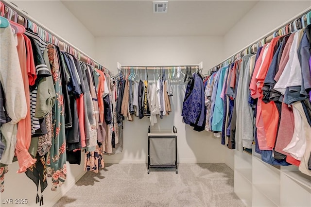 6940 Crescent Gold St, North Las Vegas, NV 89086 - spacious closet with carpet flooring