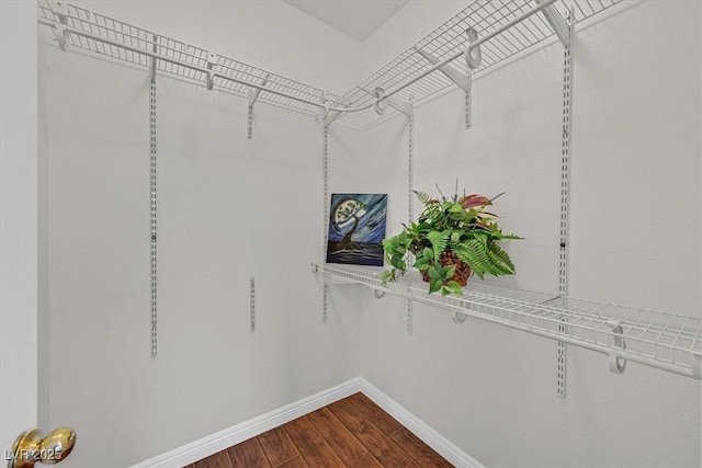 11022 Saint Rafael St, Las Vegas, NV 89141 - spacious closet with dark wood-style flooring