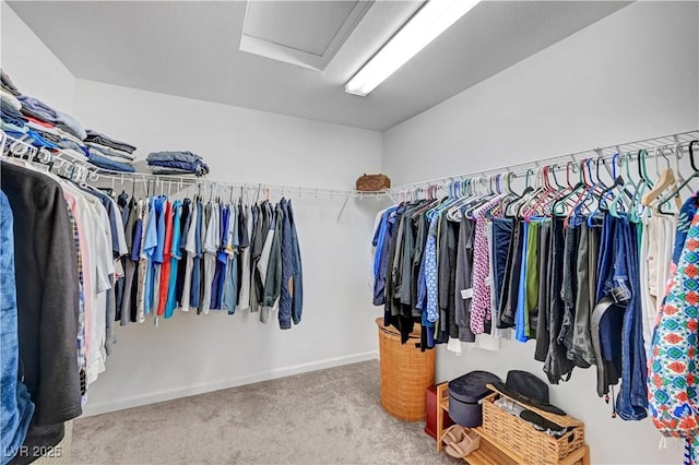 7756 Seville Estates Ct, Las Vegas, NV 89113 - walk in closet with attic access and carpet flooring