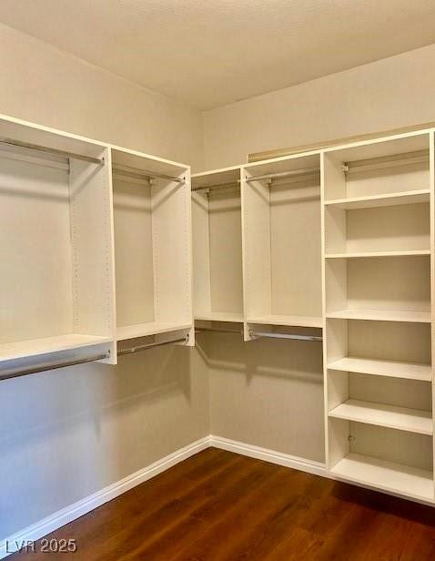 1941 Williamsport St, Henderson, NV 89052 - walk in closet featuring dark wood finished floors