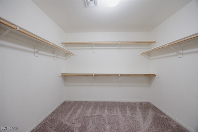 6403 Ava Ridge Ave, Las Vegas, NV 89141 - spacious closet with carpet