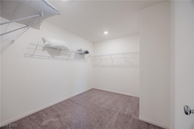 5927 Coja St, Las Vegas, NV 89113 - walk in closet with carpet floors