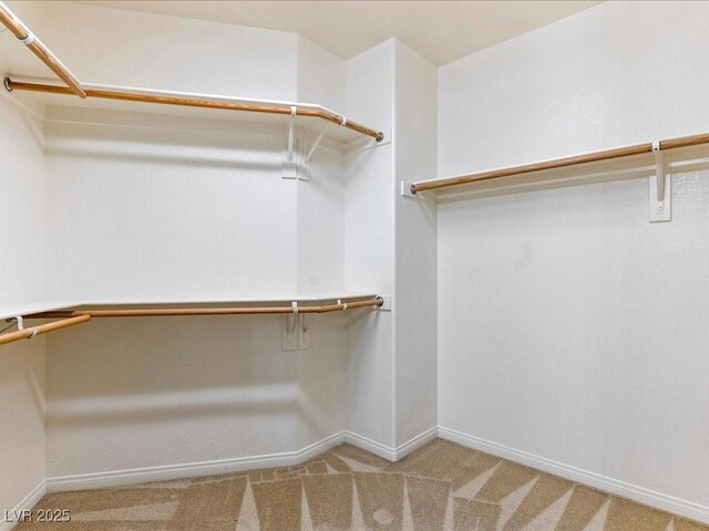 38 E Serene Ave Unit 134, Las Vegas, NV 89123 - walk in closet featuring carpet flooring
