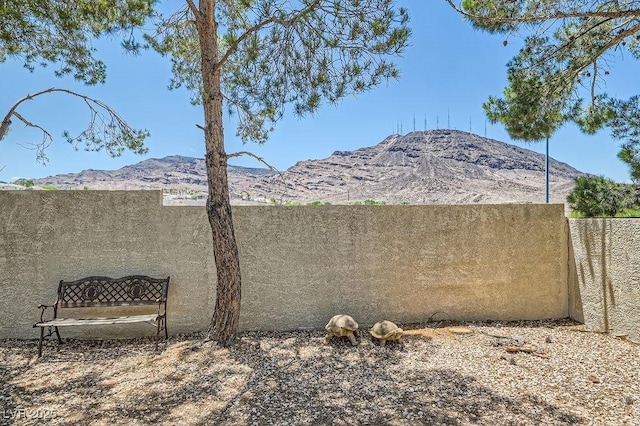 735 Wolf Point St, Henderson, NV 89002 - photo 24