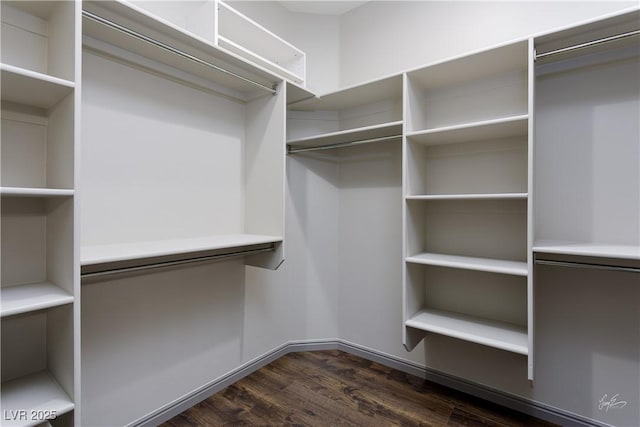 854 Santa Maria Way, Mesquite, NV 89027 - walk in closet with dark wood-type flooring