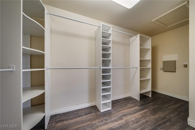 9792 Crescent Lodge Ct, Las Vegas, NV 89178 - walk in closet with wood finished floors and electric panel