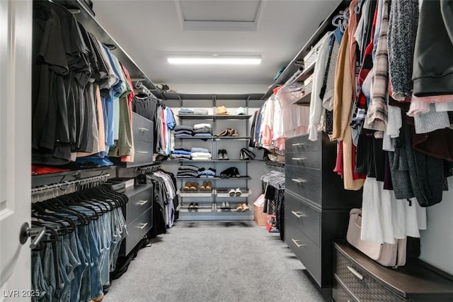7077 Sunland Hills Ave, Las Vegas, NV 89113 - walk in closet with attic access and carpet
