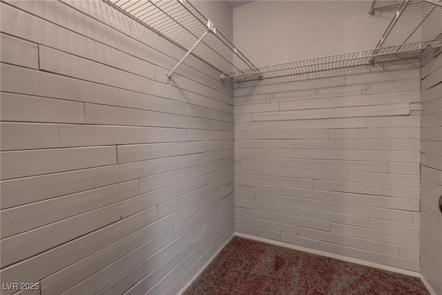 573 Sellers Pl, Henderson, NV 89011 - spacious closet featuring carpet floors