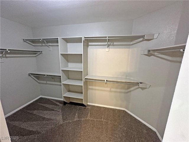 316 Lingering Ln, Henderson, NV 89012 - spacious closet featuring carpet floors