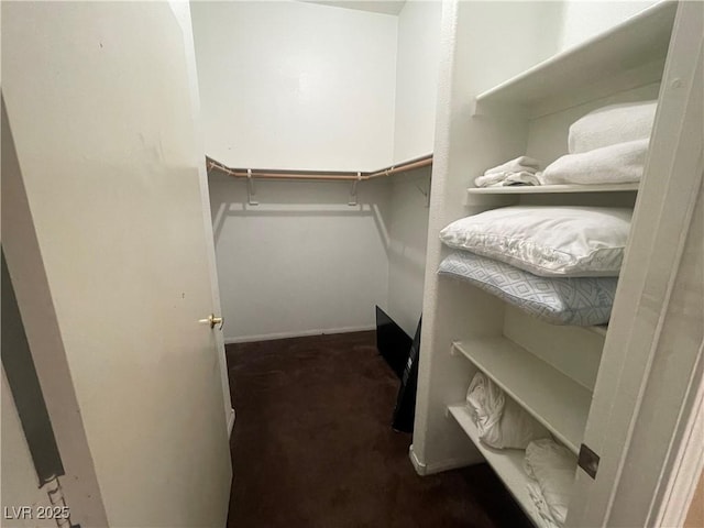 1667 Marion Bennet Dr, Las Vegas, NV 89106 - walk in closet featuring carpet flooring