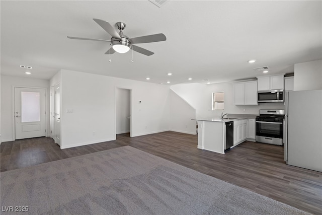 6252 Blood Lily Ave, Las Vegas, NV 89122 - kitchen with stainless steel appliances, recessed lighting, a ceiling fan, open floor plan, and dark wood finished floors