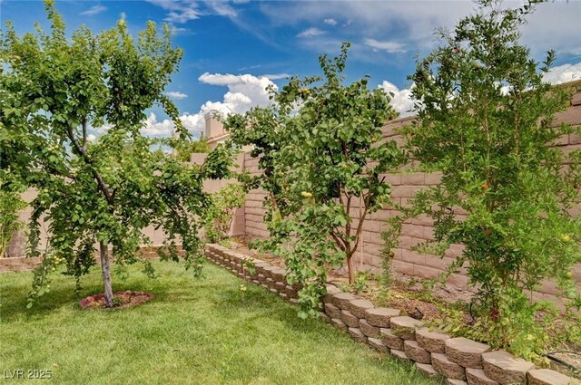 8223 Saddleback Ledge Ave, Las Vegas, NV 89147 - view of yard