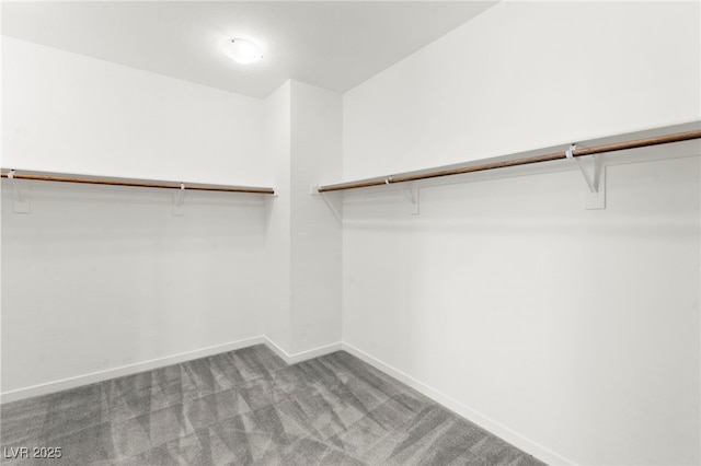 767 Tallgrass St, Las Vegas, NV 89138 - walk in closet featuring carpet