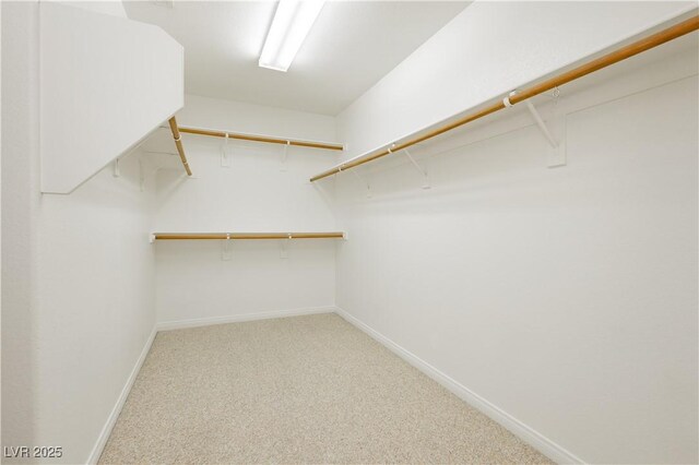 8224 Cassis Ct, Las Vegas, NV 89117 - spacious closet with carpet flooring