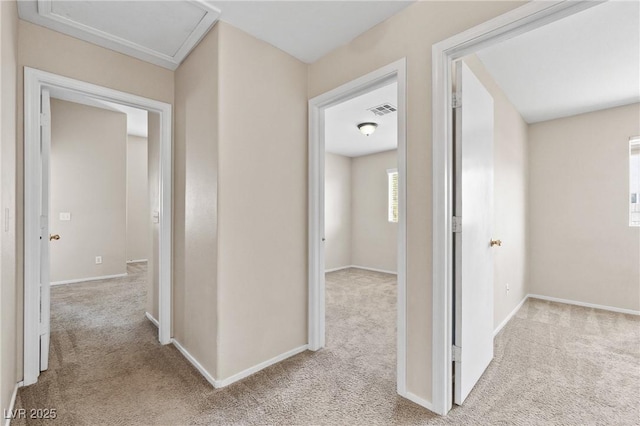 5307 Wild Orchid St, North Las Vegas, NV 89031 - hall featuring carpet flooring and baseboards